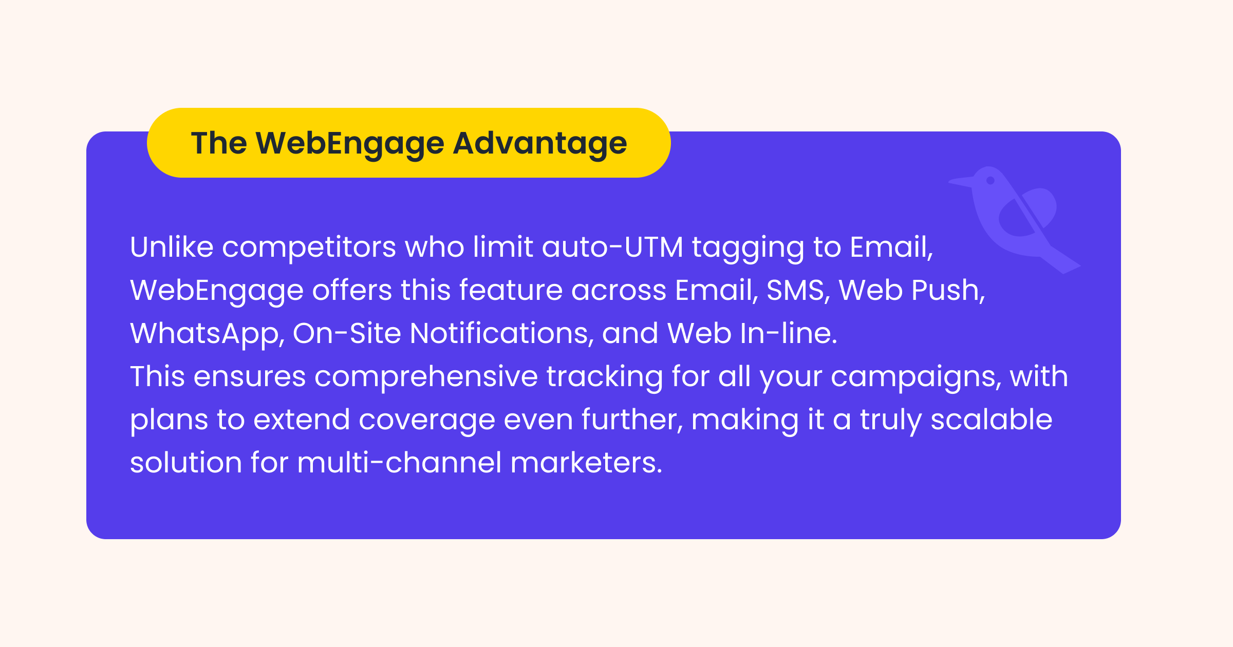 UTM Parameters